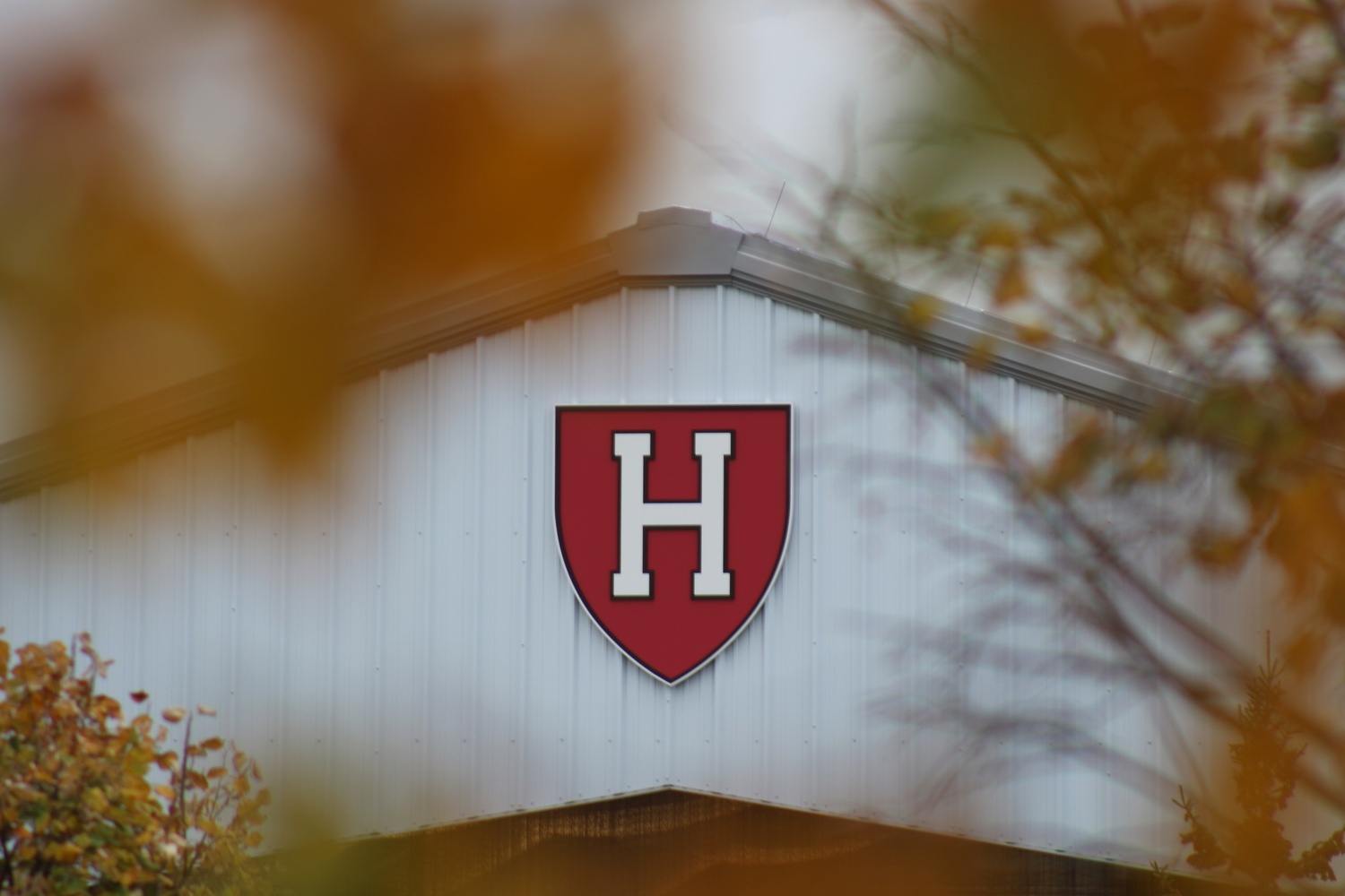 ‘Taxation Without Representation’: What the NCAA’s $2.8 Billion Settlement Means for Harvard